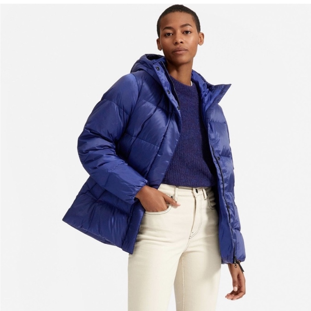 Everlane the Re:Down Puffy Puff Jacket